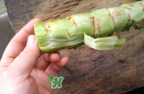 青筍怎么做好吃？青筍怎么去皮快