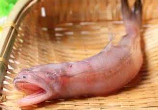 龍頭魚身是什么神獸？龍頭魚身是什么寓意