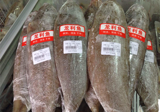 龍利魚怎么挑選？龍利魚與越南巴沙魚的區(qū)別