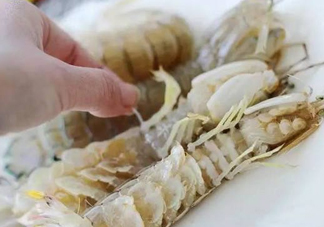蝦蛄怎么讀？蝦蛄多少錢一斤