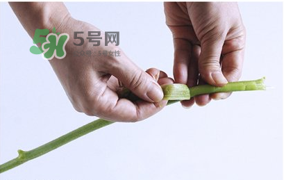 南瓜苗怎么做好吃？南瓜苗怎么撕？