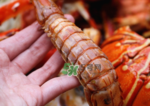 蝦蛄怎么吃？蝦蛄怎么做好吃？