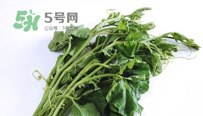 南瓜苗怎么做好吃？南瓜苗怎么撕？