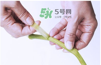 南瓜苗怎么做好吃？南瓜苗怎么撕？