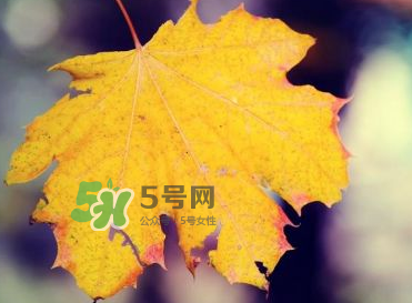 立秋后吃什么好？立秋后怎么養(yǎng)生？