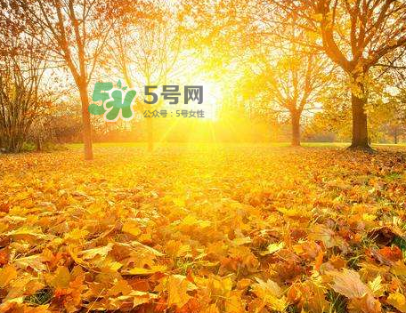 立秋后吃什么好？立秋后怎么養(yǎng)生？