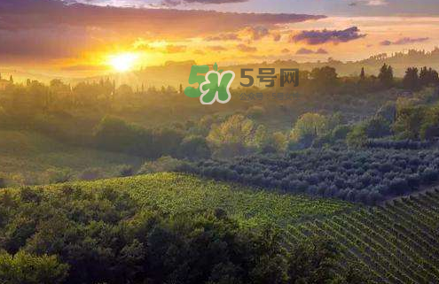 立秋后吃什么好？立秋后怎么養(yǎng)生？