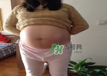 懷女孩肚子上會長毛嗎？懷女孩肚子特征圖片