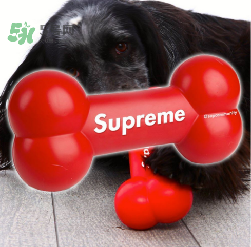 supreme狗骨頭玩具是真的嗎？supreme骨頭玩具會發(fā)售嗎？