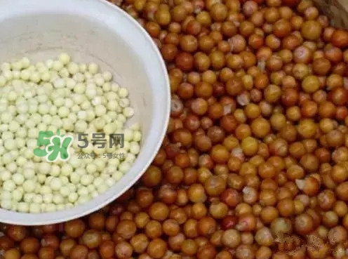 雞頭米一次吃多少合適？雞頭米可以多吃嗎