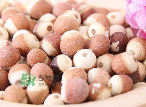 雞頭米是涼性的嗎？雞頭米是哪里的特產(chǎn)
