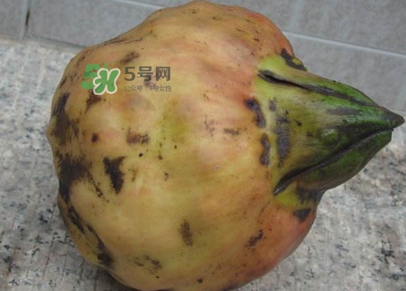 雞頭米是涼性的嗎？雞頭米是哪里的特產(chǎn)