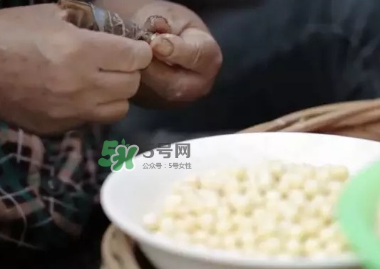 雞頭米是什么？雞頭米是芡實(shí)嗎