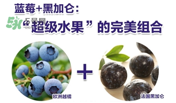 fancl藍(lán)莓護(hù)眼怎么樣？fancl藍(lán)莓護(hù)眼和pola護(hù)眼哪個好
