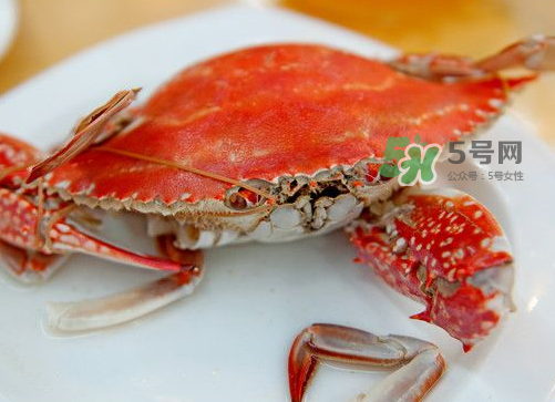梭子蟹可以清蒸嗎？梭子蟹蒸還是煮？