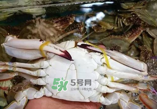 梭子蟹放冷藏還是冷凍？梭子蟹可以放速凍嗎？