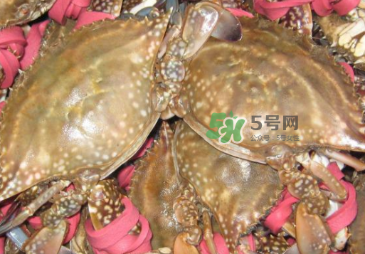 梭子蟹放冷藏還是冷凍？梭子蟹可以放速凍嗎？