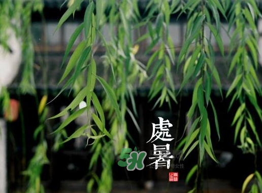 2017處暑還熱嗎？2017處暑后天氣還熱嗎？