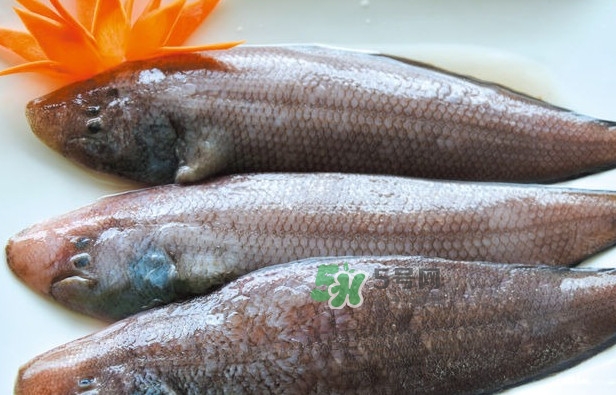 龍利魚是發(fā)物嗎？懷孕能不能吃龍利魚