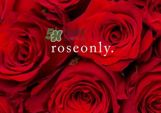 2017七夕禮盒roseonly多少錢(qián)？roseonly巨型玫瑰禮盒多少錢(qián)？