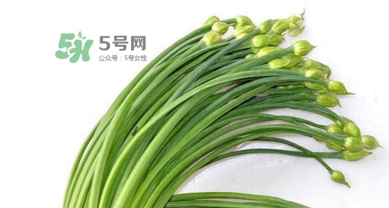 韭菜苔孕婦能吃嗎？孕婦可以吃韭菜苔嗎