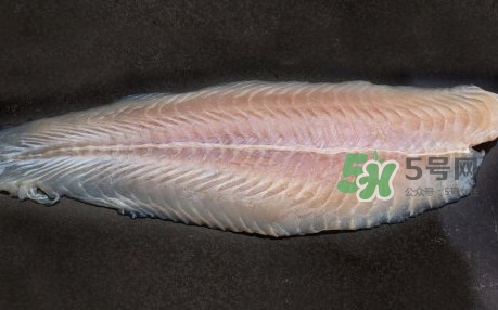 龍利魚(yú)是淡水魚(yú)嗎？龍利魚(yú)是巴沙魚(yú)嗎
