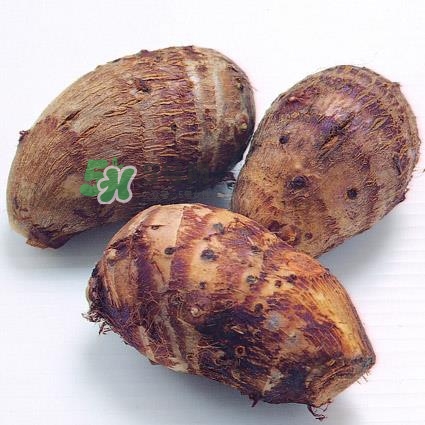 中秋節(jié)為什么吃芋頭？中秋節(jié)吃芋頭的來源