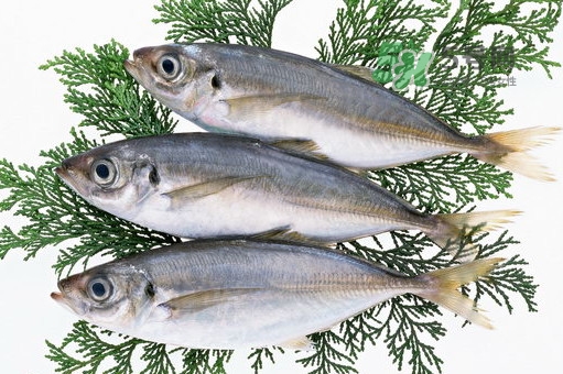 龍利魚是鱈魚嗎？龍利魚和鱈魚哪個好吃