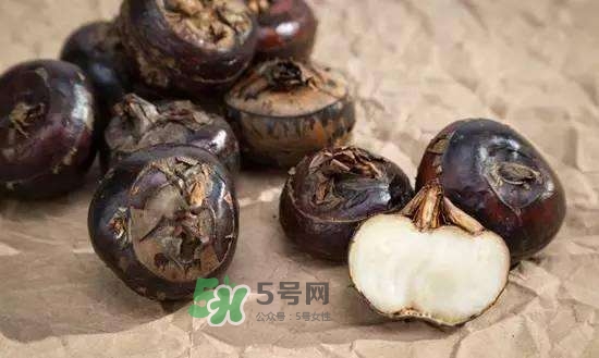 野荸薺是什么樣子的？野荸薺的營養(yǎng)價值
