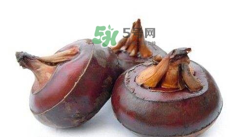 野荸薺怎么吃？野荸薺的食用功效