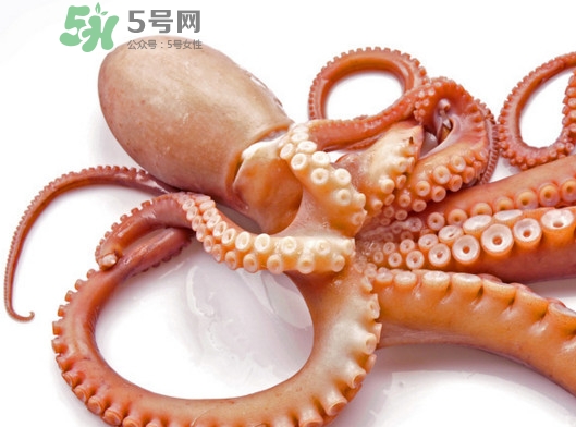 章魚(yú)血是什么顏色？章魚(yú)血為什么是藍(lán)色？