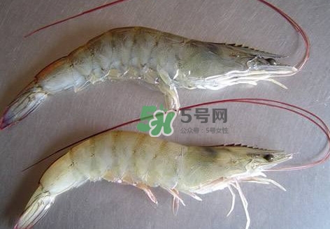 白蝦有寄生蟲嗎？如何選購(gòu)新鮮的蝦