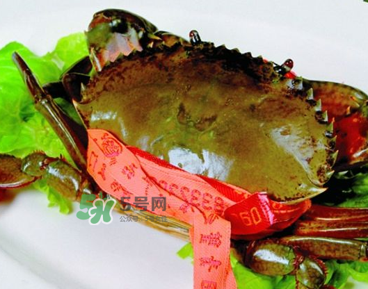 青蟹能放幾天？青蟹能活多久？