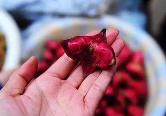 紅菱怎么吃？吃紅菱有什么好處？