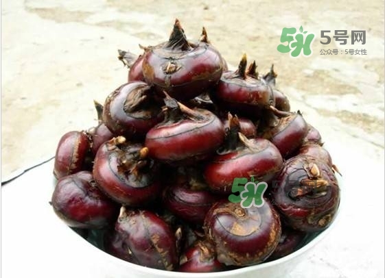 野荸薺是什么樣子的？野荸薺的營養(yǎng)價值