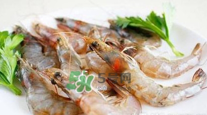 白蝦有寄生蟲(chóng)嗎？如何選購(gòu)新鮮的蝦