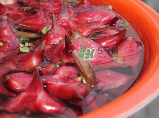 紅菱什么時候上市？什么時候采紅菱