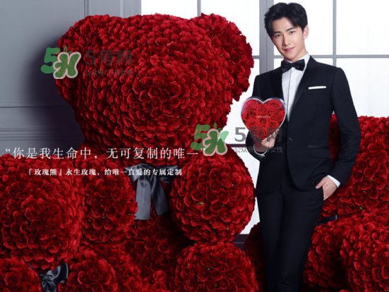 roseonly熊怎么樣？roseonly玫瑰熊好看嗎？