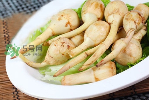 慈姑什么時候種植？慈姑什么時候上市