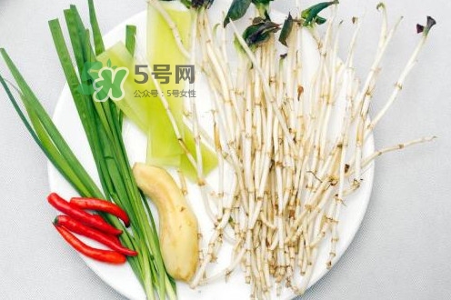 魚(yú)腥草用開(kāi)水泡可以嗎？魚(yú)腥草用量多少克？