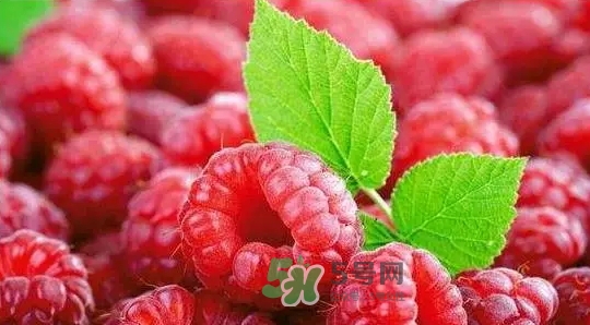 pola莓果酵素怎么吃？pola紅莓酵素怎么樣？