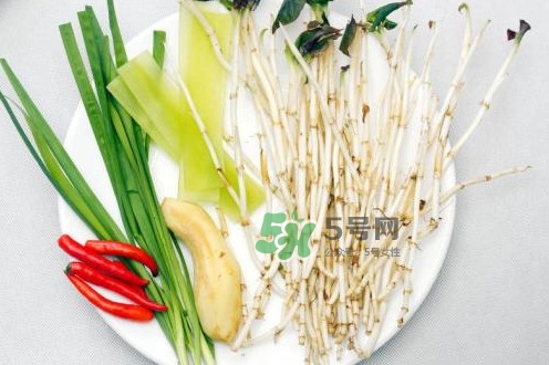 魚腥草什么季節(jié)有？魚腥草什么時(shí)候采摘最好