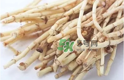 魚腥草什么季節(jié)吃最好？魚腥草什么時(shí)候吃最好