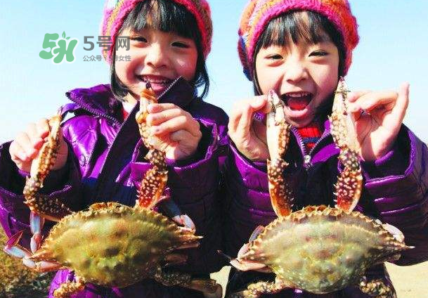 青島梭子蟹多少錢一斤？青島梭子蟹什么時(shí)候上市？