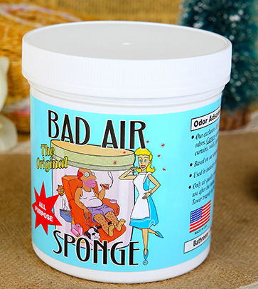Bad Air Sponge有用嗎？Bad Air Sponge效果如何？