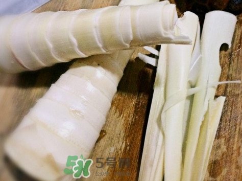 苦筍是什么竹子？苦筍是發(fā)物嗎