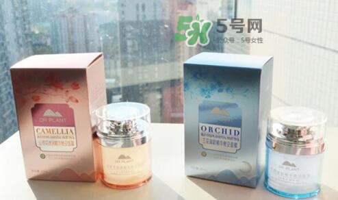 植物醫(yī)生睡眠面膜怎么樣？植物醫(yī)生晚安面膜價格