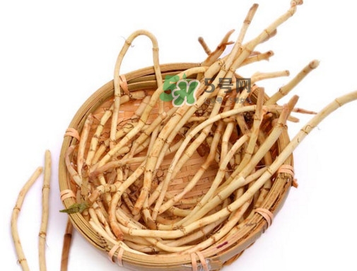 折耳根有毒嗎？折耳根有毒吃了會(huì)傷腎？
