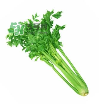 吃芹菜能殺精避孕嗎？芹菜殺精是真的嗎？
