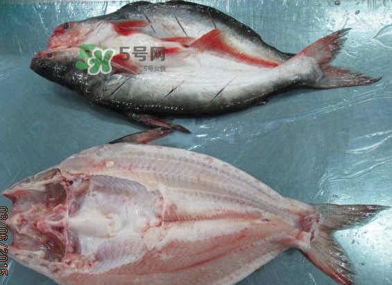 巴沙魚(yú)是鯰魚(yú)嗎？巴沙魚(yú)是海魚(yú)嗎